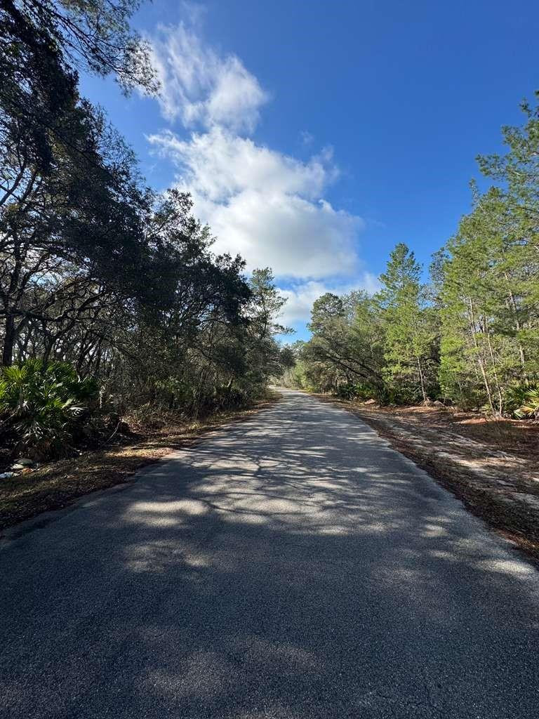 O6382489 Property Photo 2