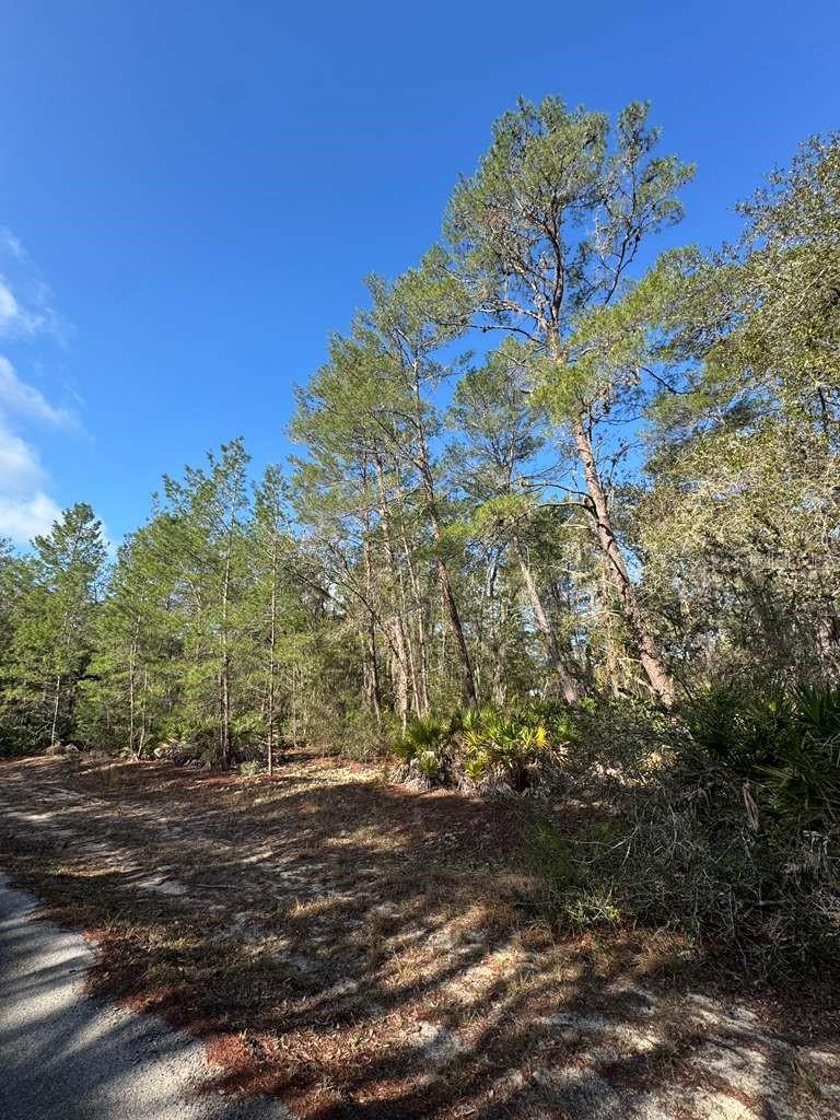 O6382489 Property Photo 3