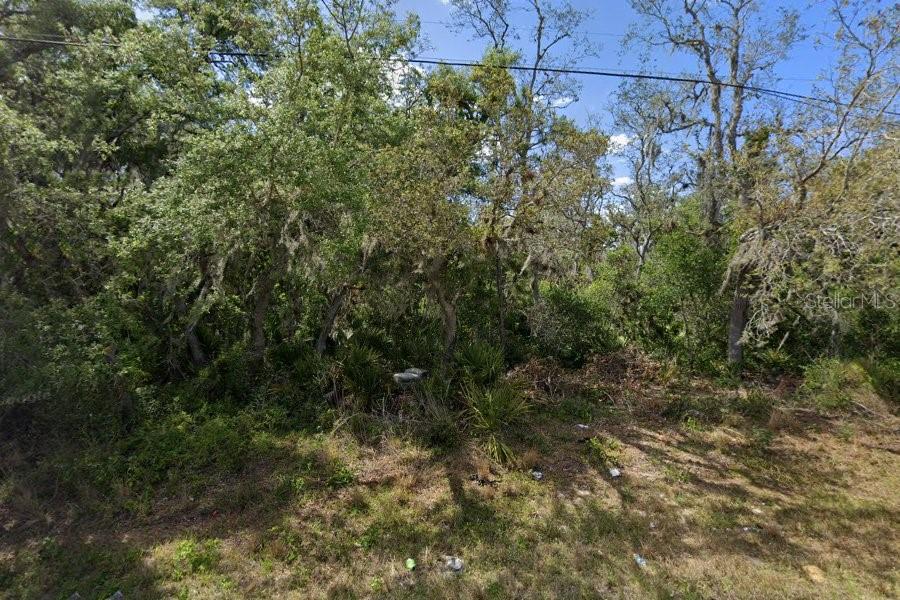 5713 COUNTY ROAD 17 S Property Photo 1