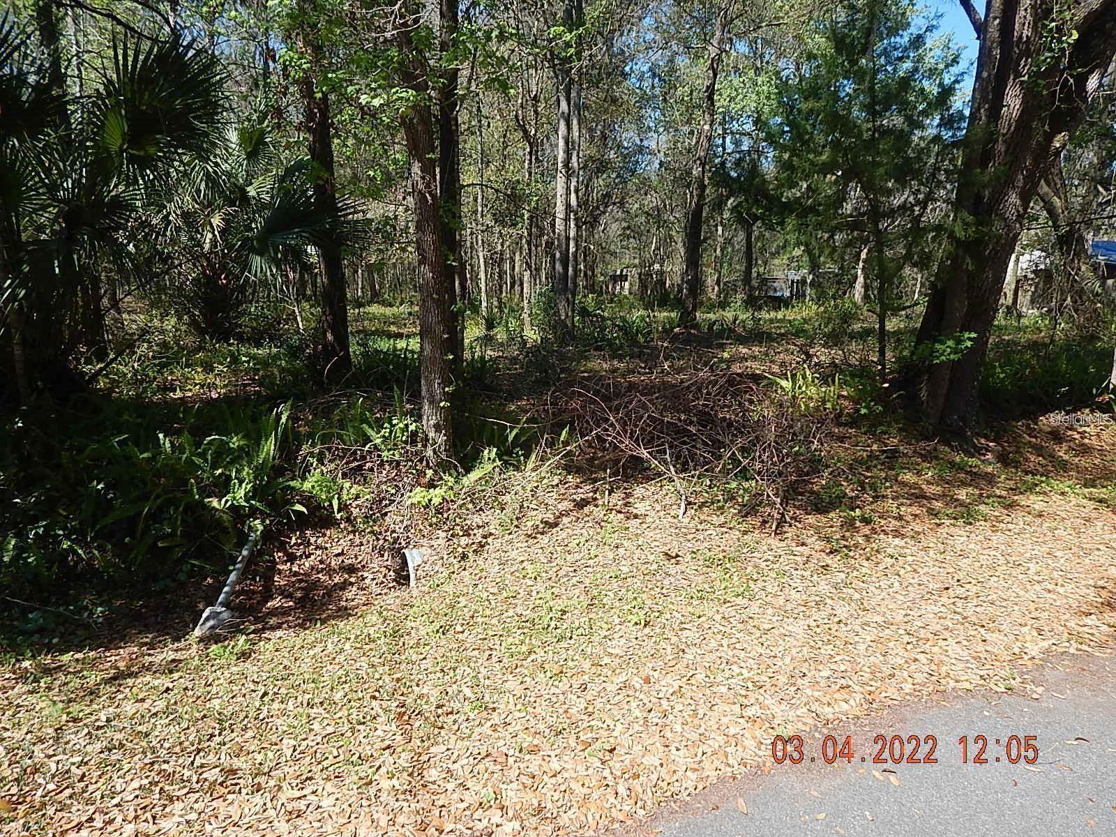 1026 Buist St Property Photo 2