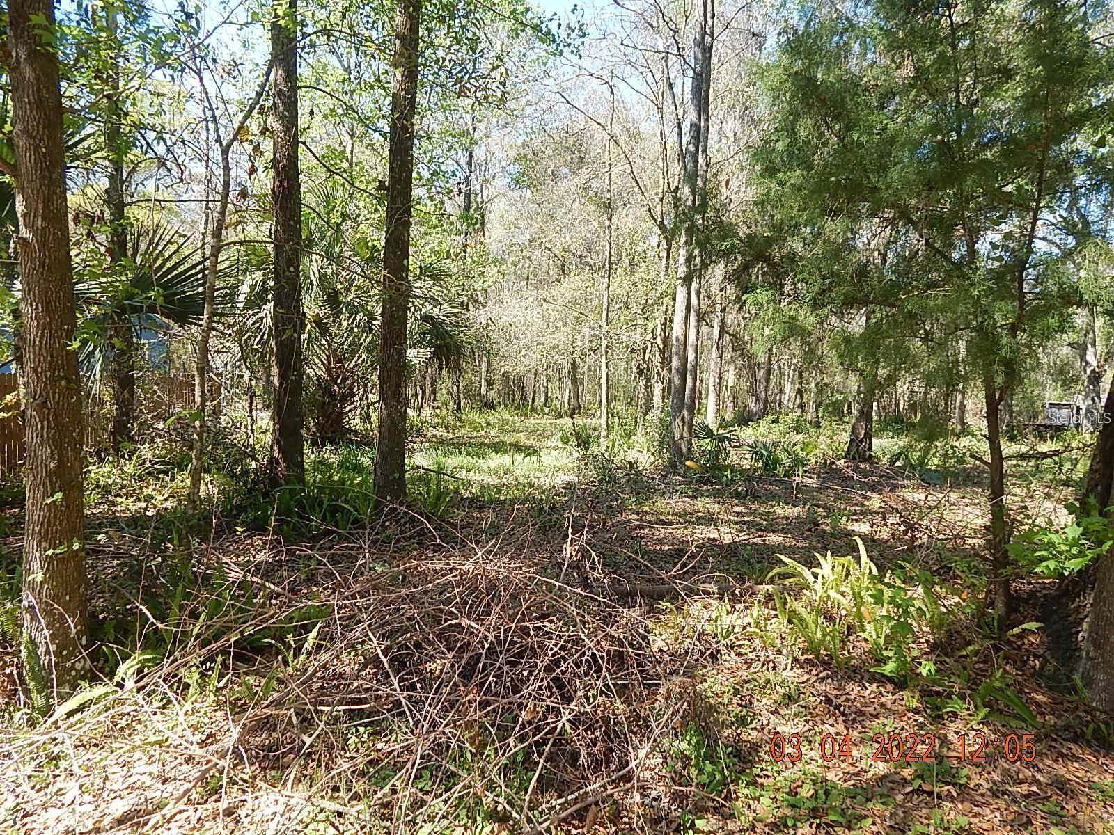 1026 Buist St Property Photo 3