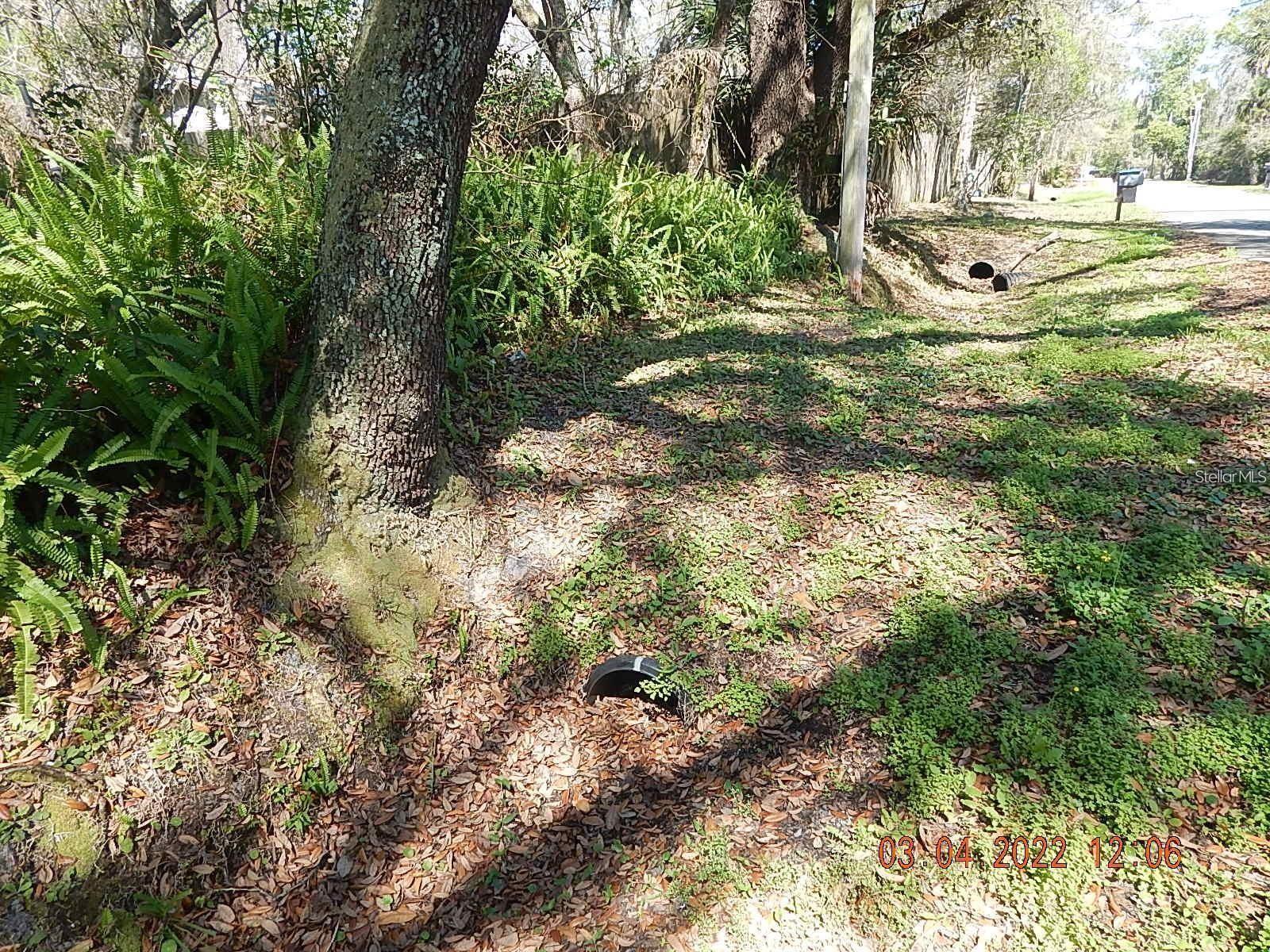 1026 Buist St Property Photo 5