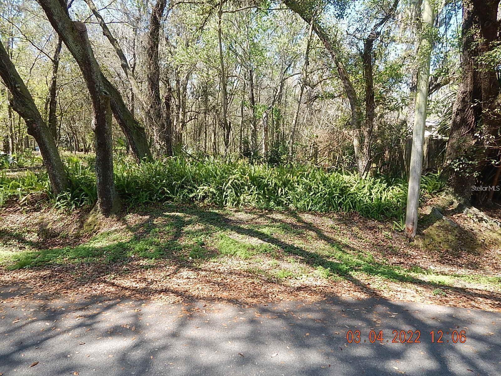 1026 Buist St Property Photo 6