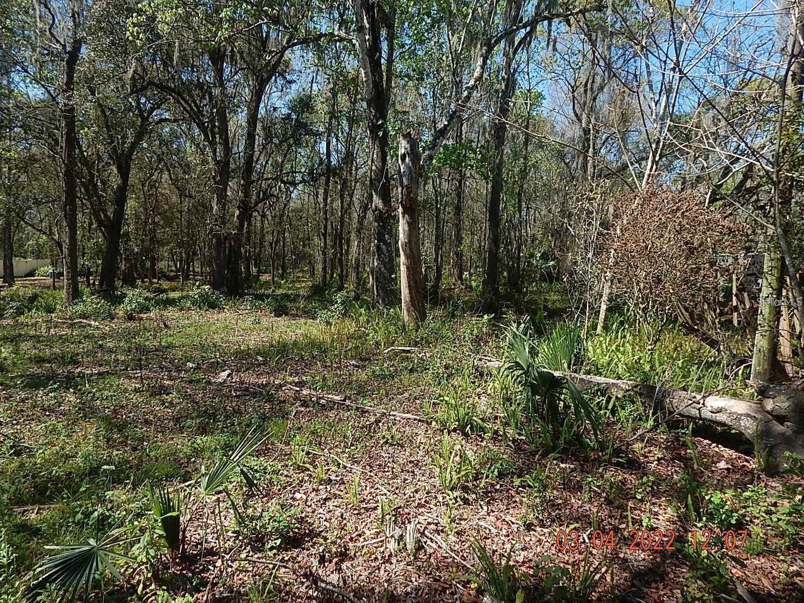 1026 Buist St Property Photo 7
