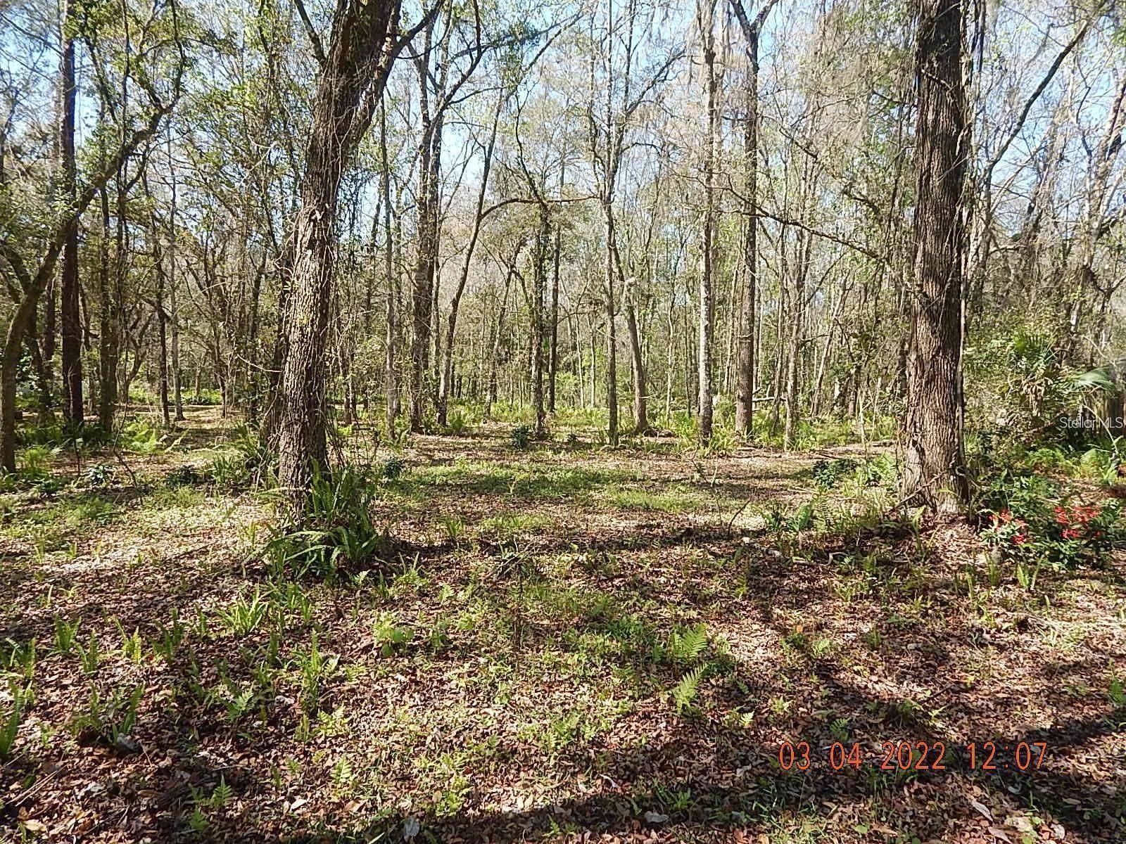 1026 Buist St Property Photo 9