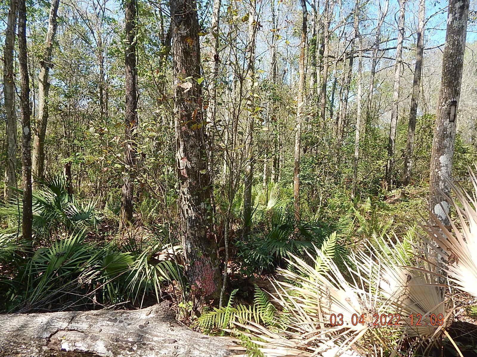 1026 Buist St Property Photo 10