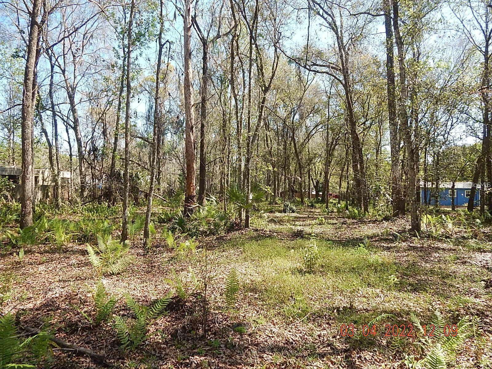 1026 Buist St Property Photo 11