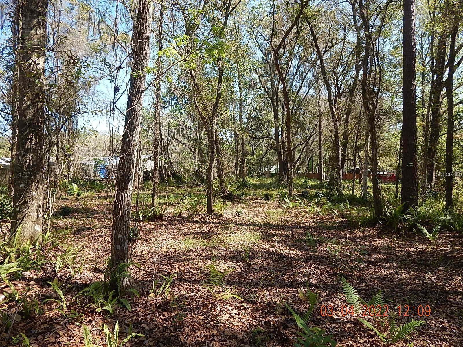 1026 Buist St Property Photo 12