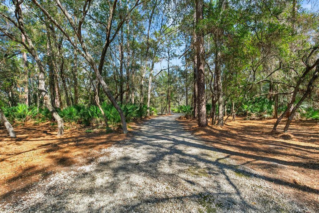 8321 Hardwood Landing Rd Property Photo 51