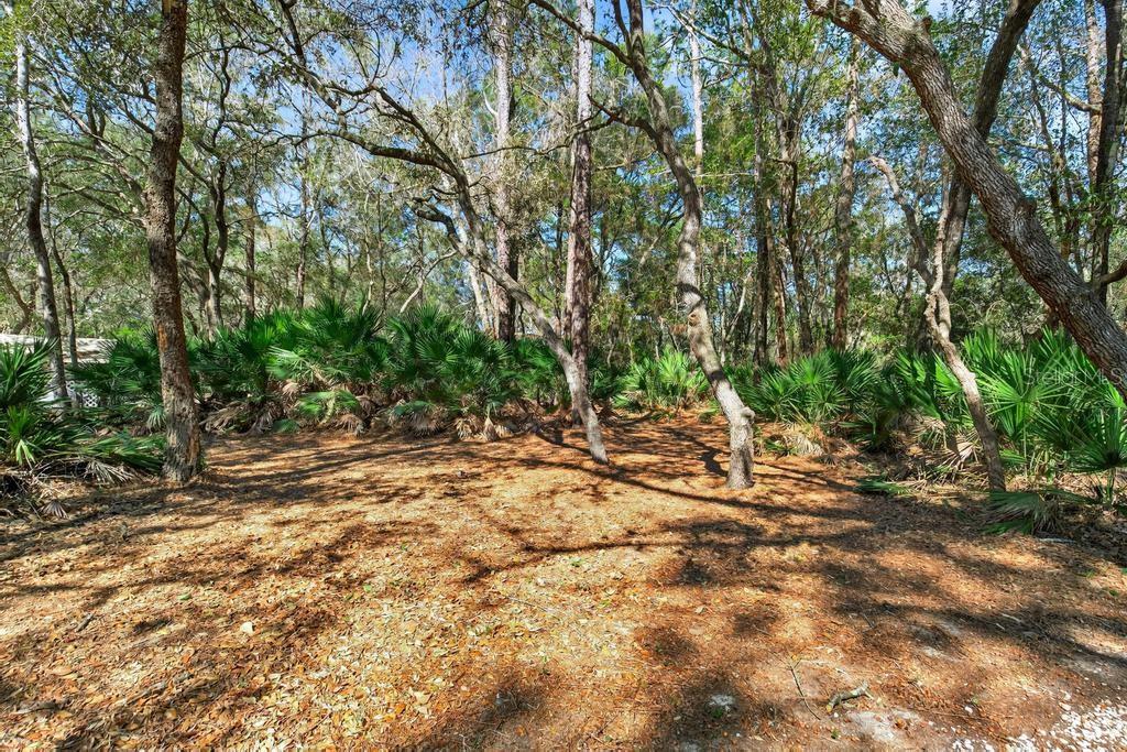 8321 Hardwood Landing Rd Property Photo 53