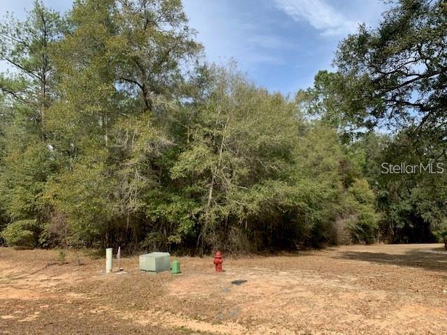 167 Sparkleberry Blvd Property Photo 1