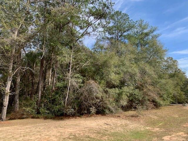 167 Sparkleberry Blvd Property Photo 2