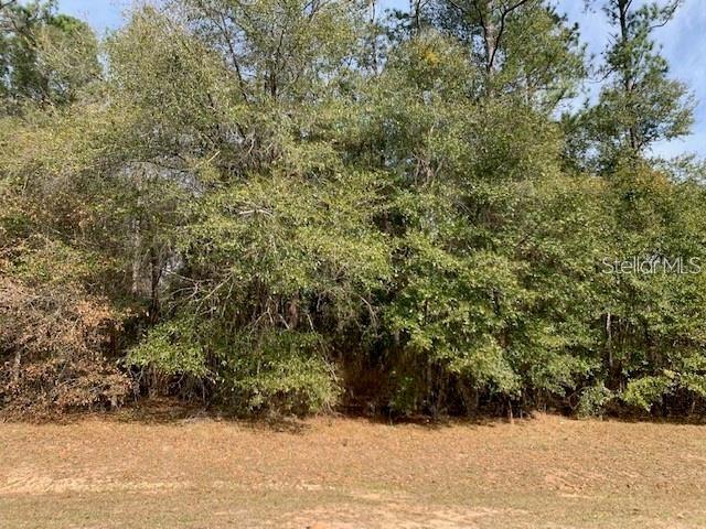 167 Sparkleberry Blvd Property Photo 3