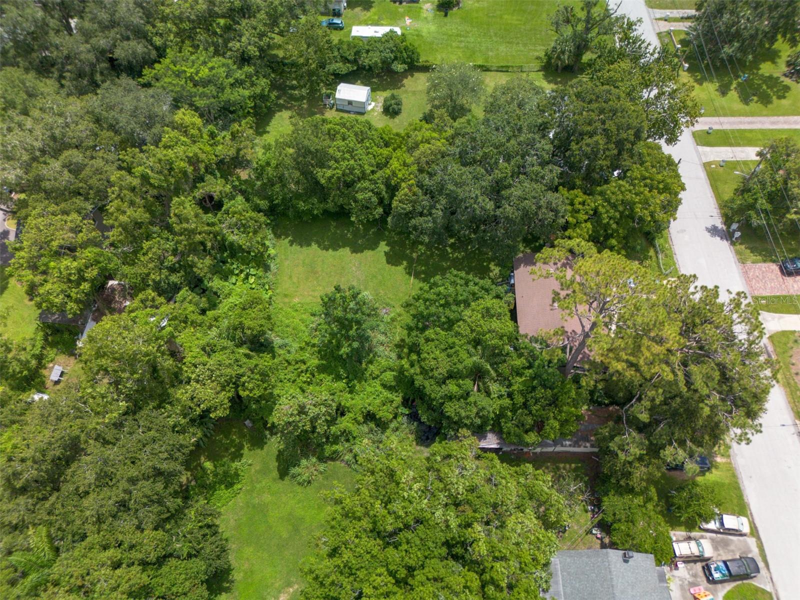 Carlton Dr Property Photo 15
