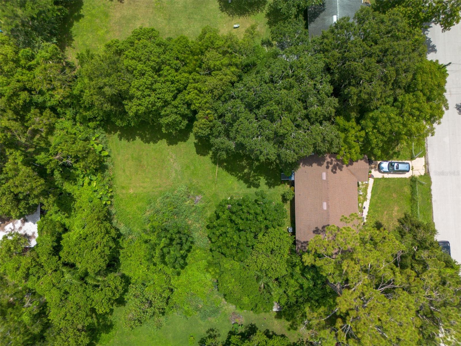 Carlton Dr Property Photo 16
