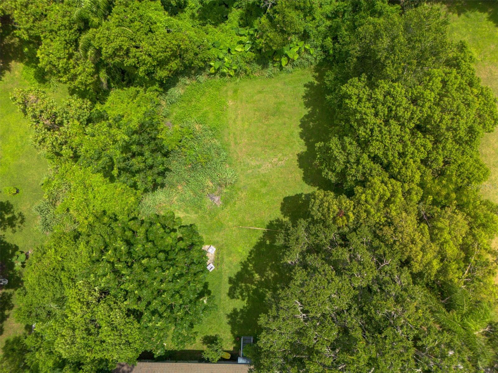 Carlton Dr Property Photo 17