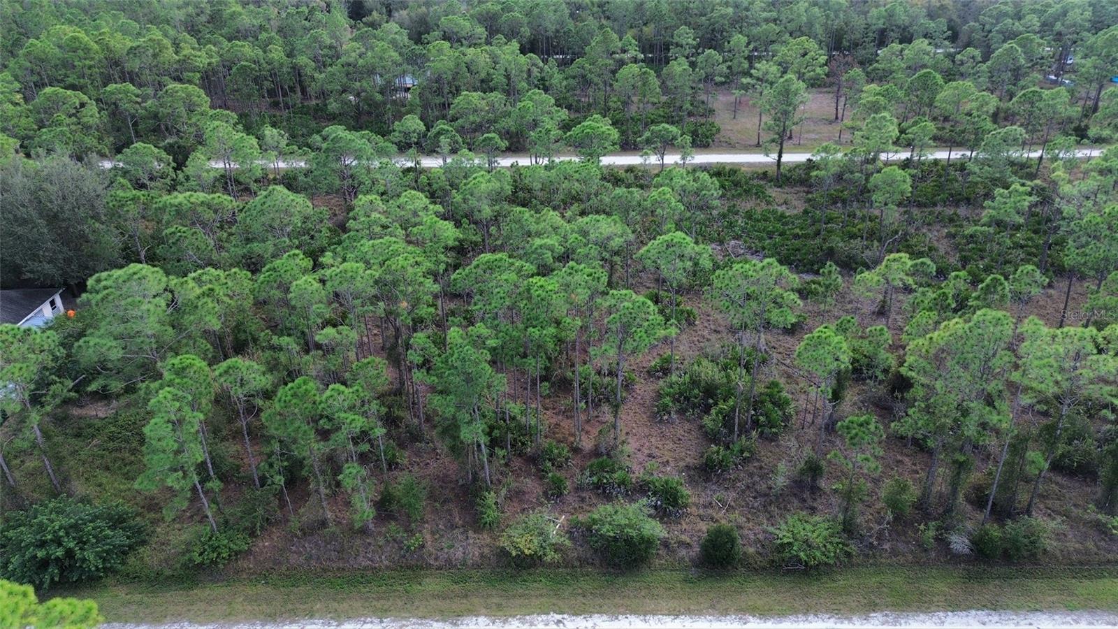 28059 Crestwood Dr Property Photo 2