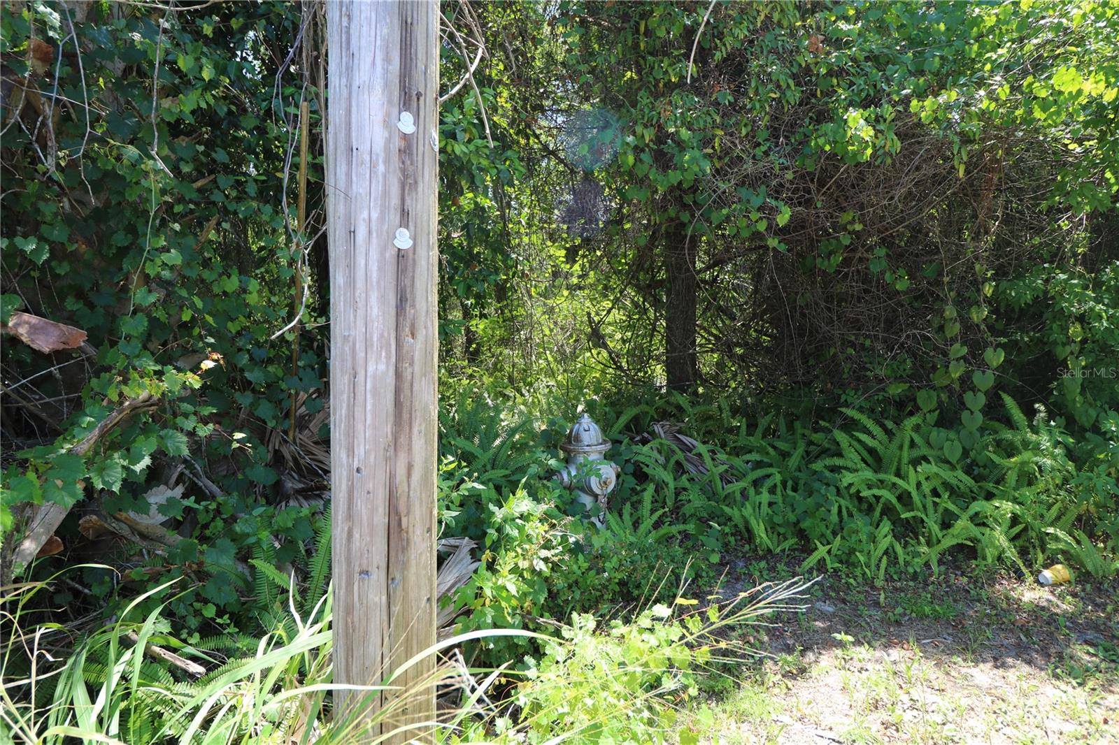0 E Franklin St Property Photo 3