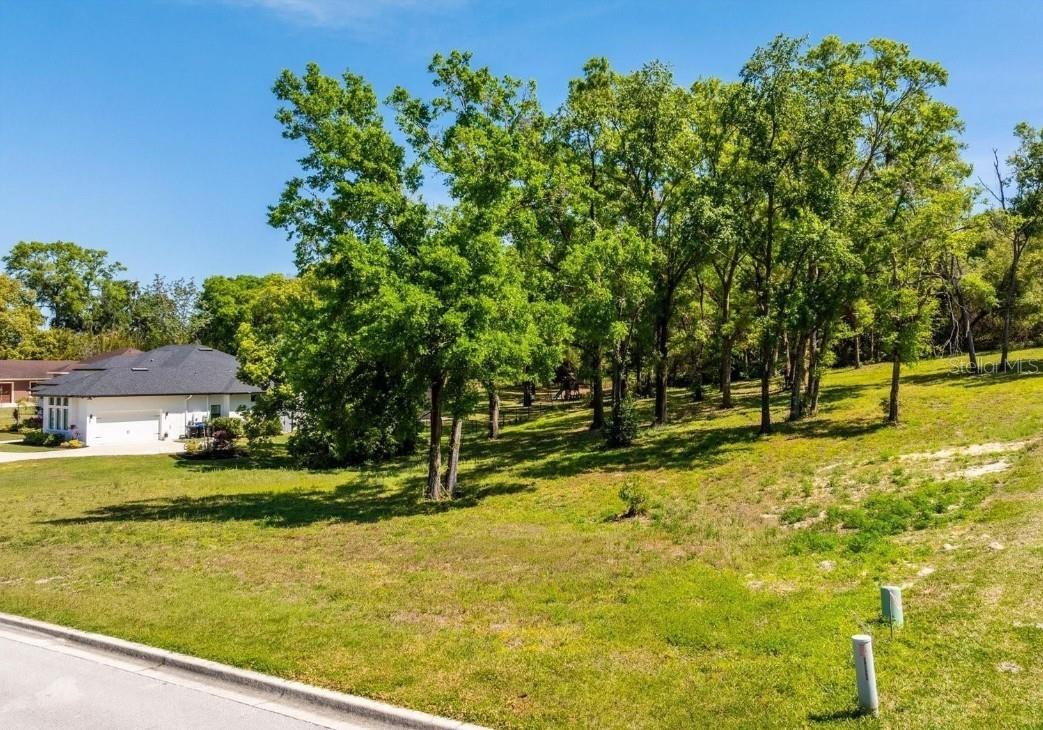 7041 Norne Ln Property Photo 4