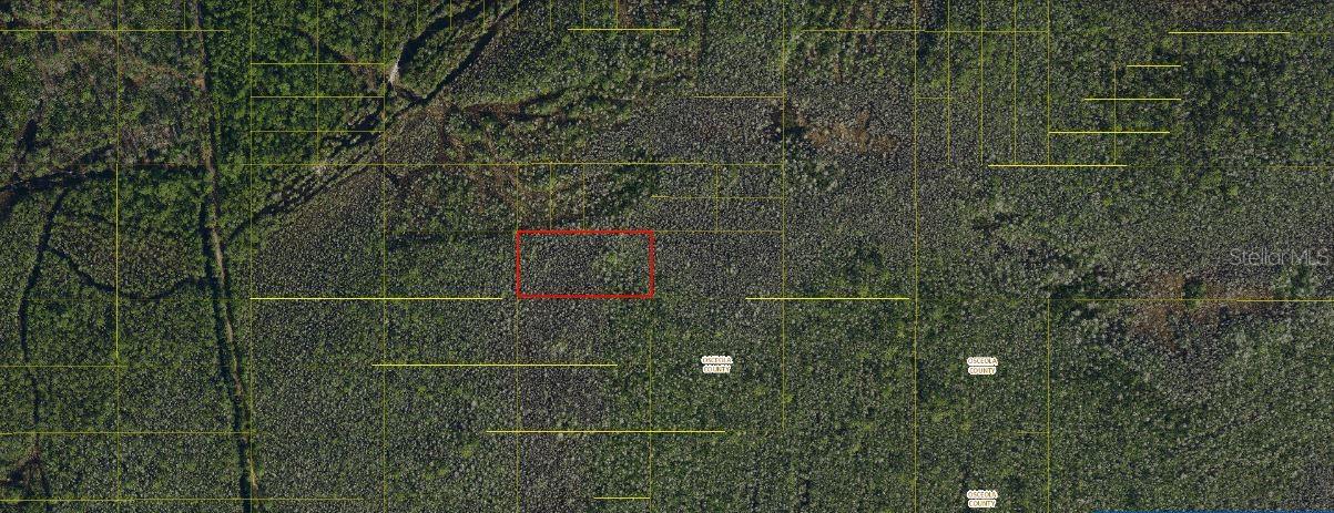 Holopaw Groves Rd Property Photo 2