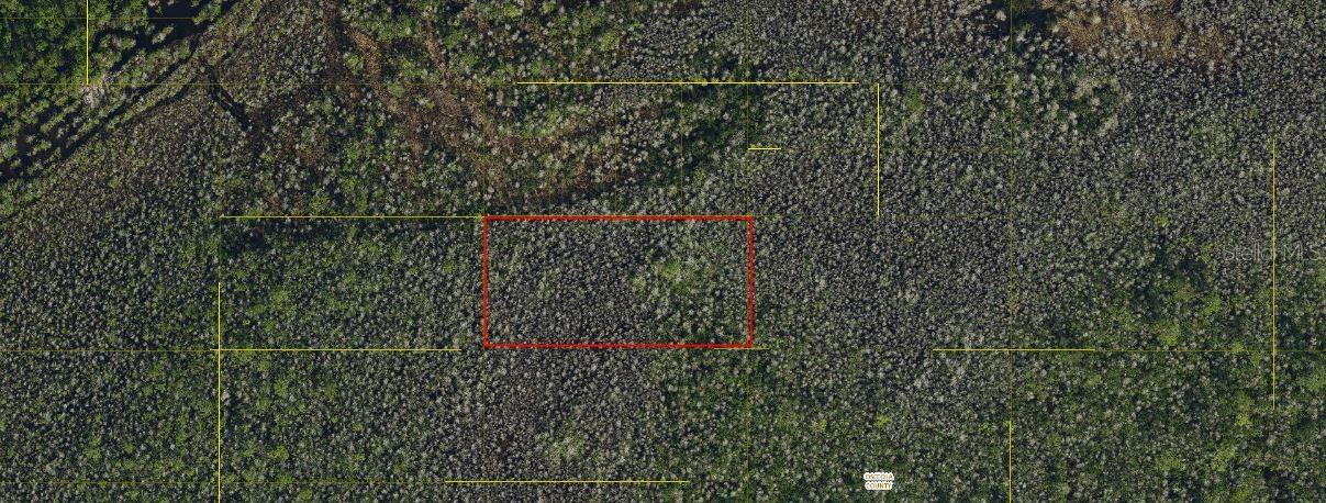 Holopaw Groves Rd Property Photo 3