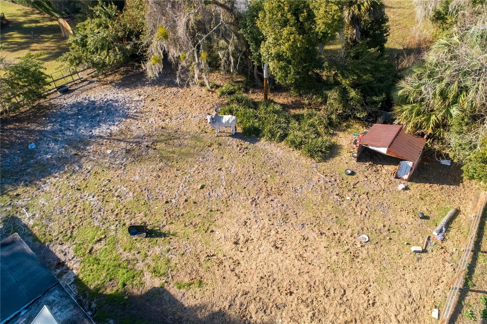 921 Vihlen Rd Property Photo 19