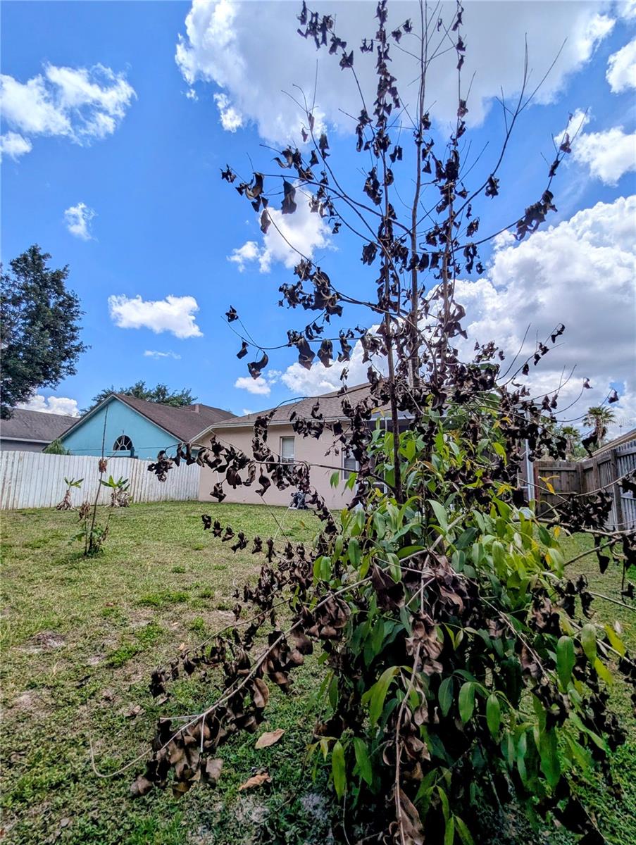 12702 Enclave Dr Property Photo 37
