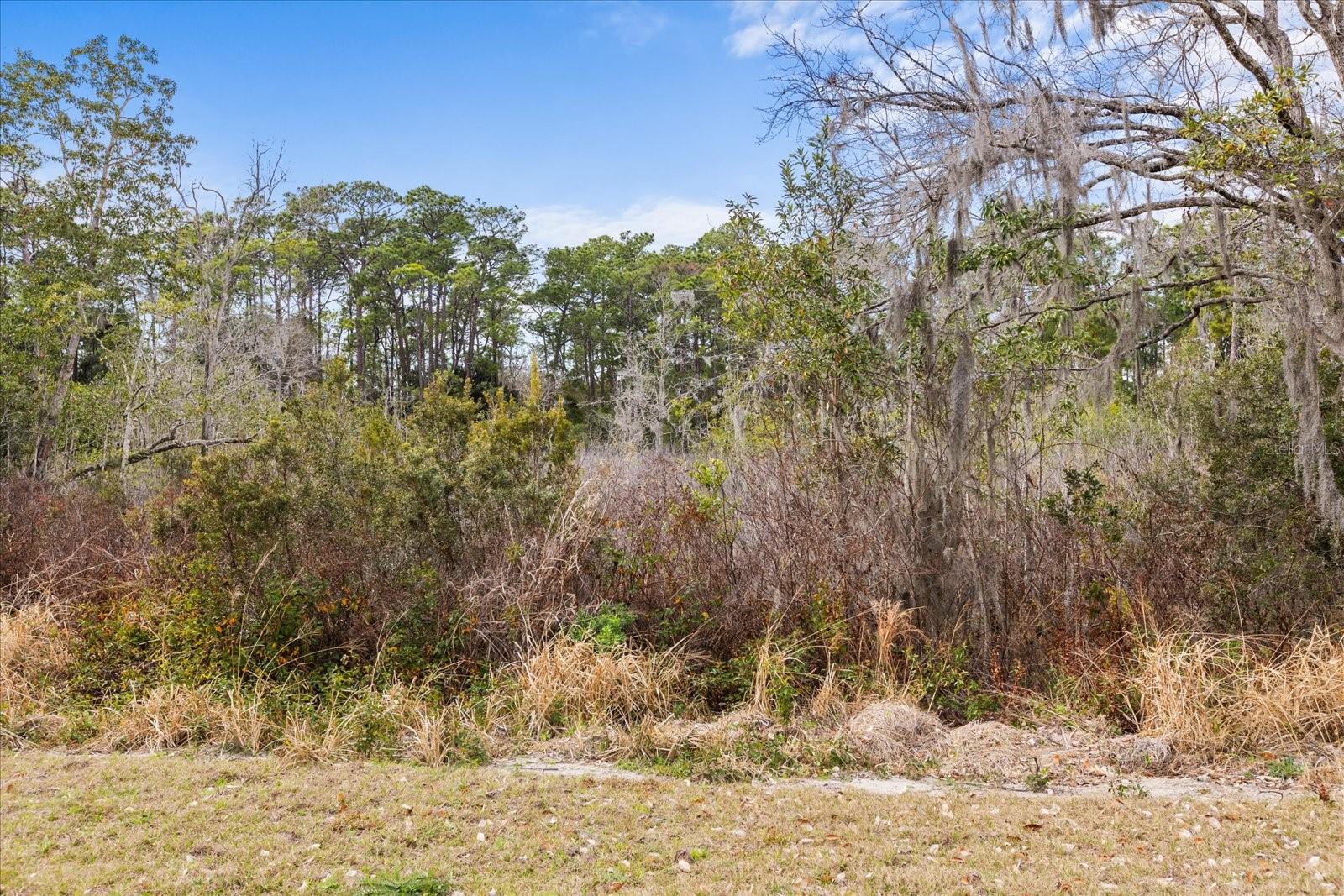 455 Briar Patch Ln Property Photo 76
