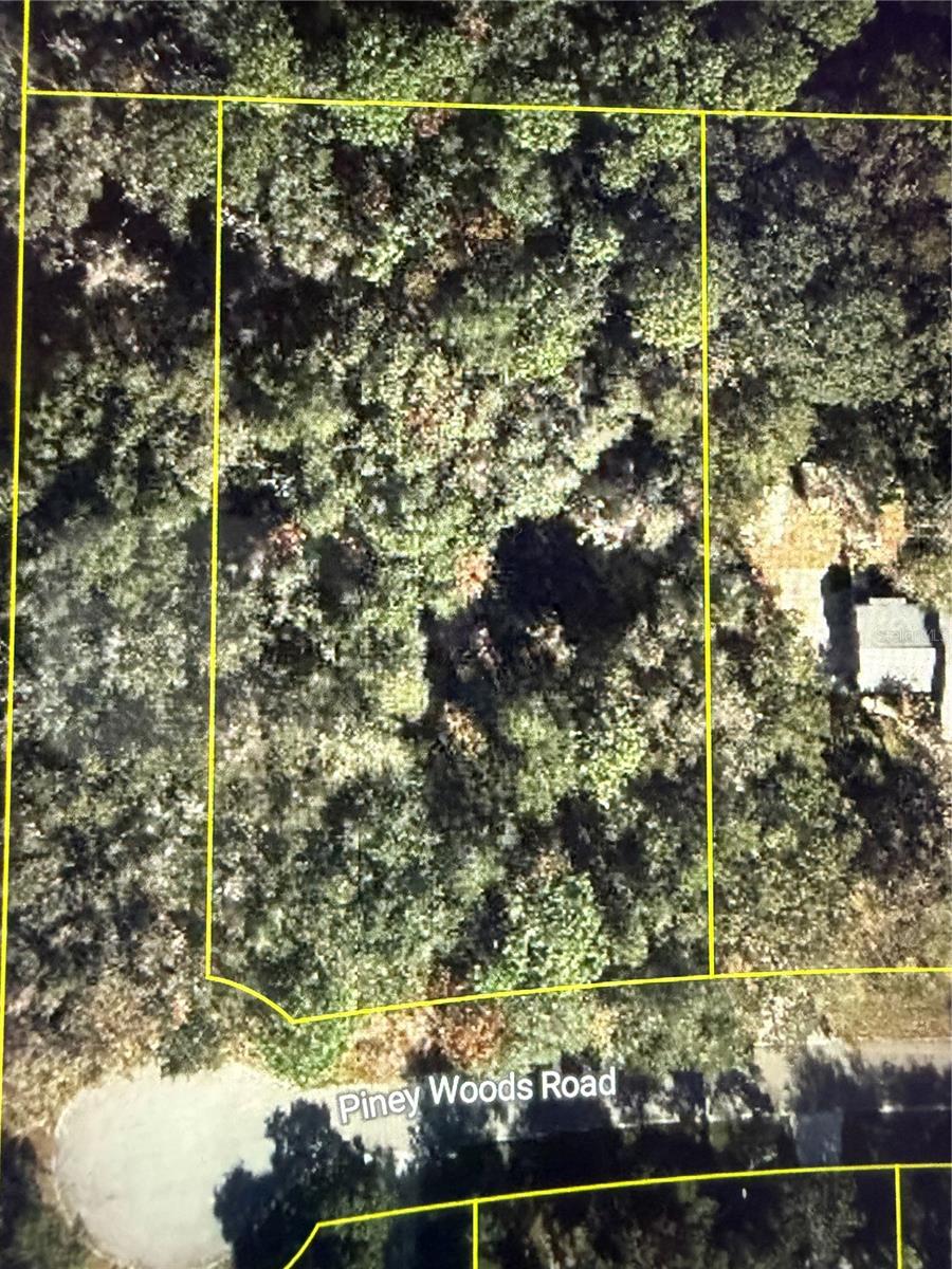 101 PINEY WOODS RD