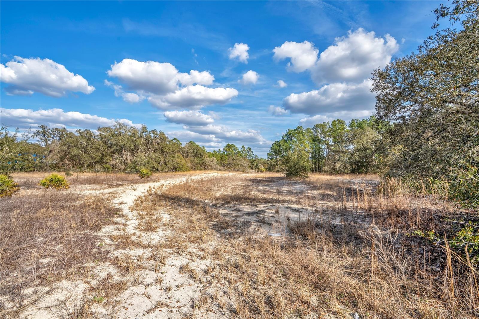 Goodstone Dr Property Photo 6