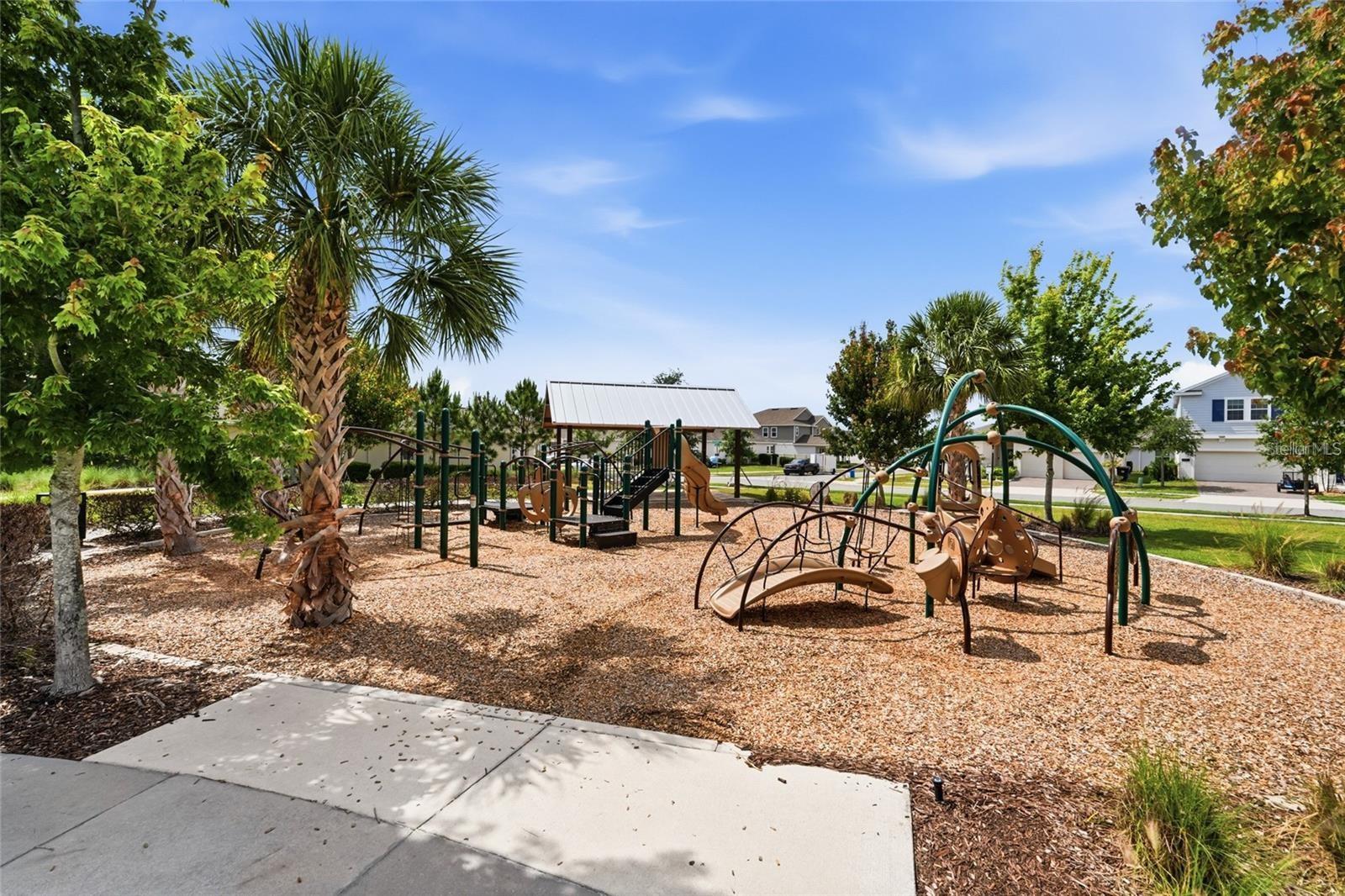1778 Good Neighbor Loop Property Photo 46
