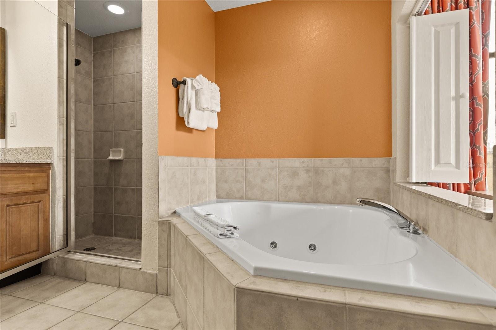 12539 Floridays Resort Dr #404d Property Photo 28