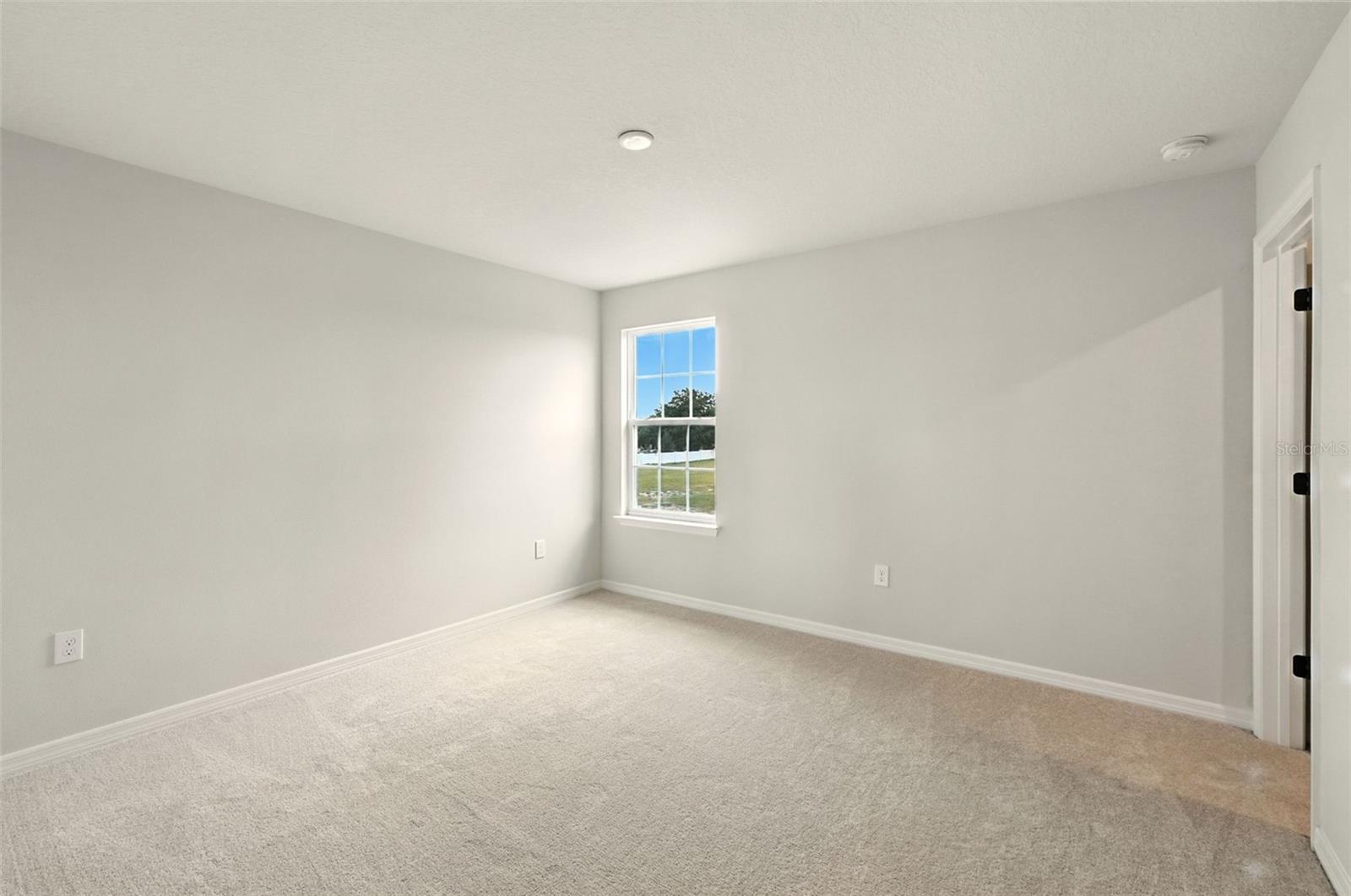 276 Summer Pine St Property Photo 18