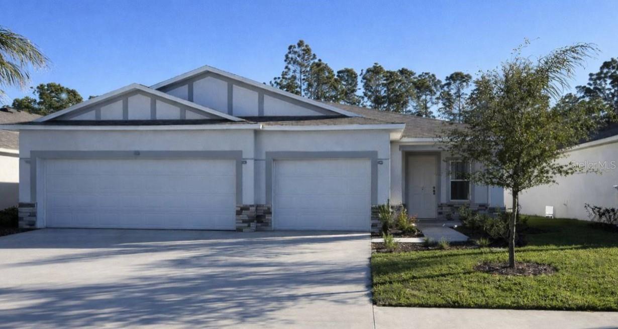 3224 NEEDLE PALM DR Property Photo 1