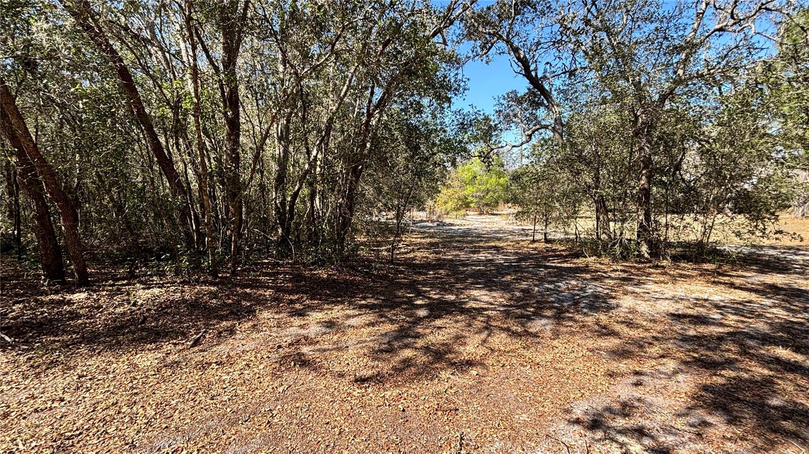 Lincoln Rd Property Photo 8