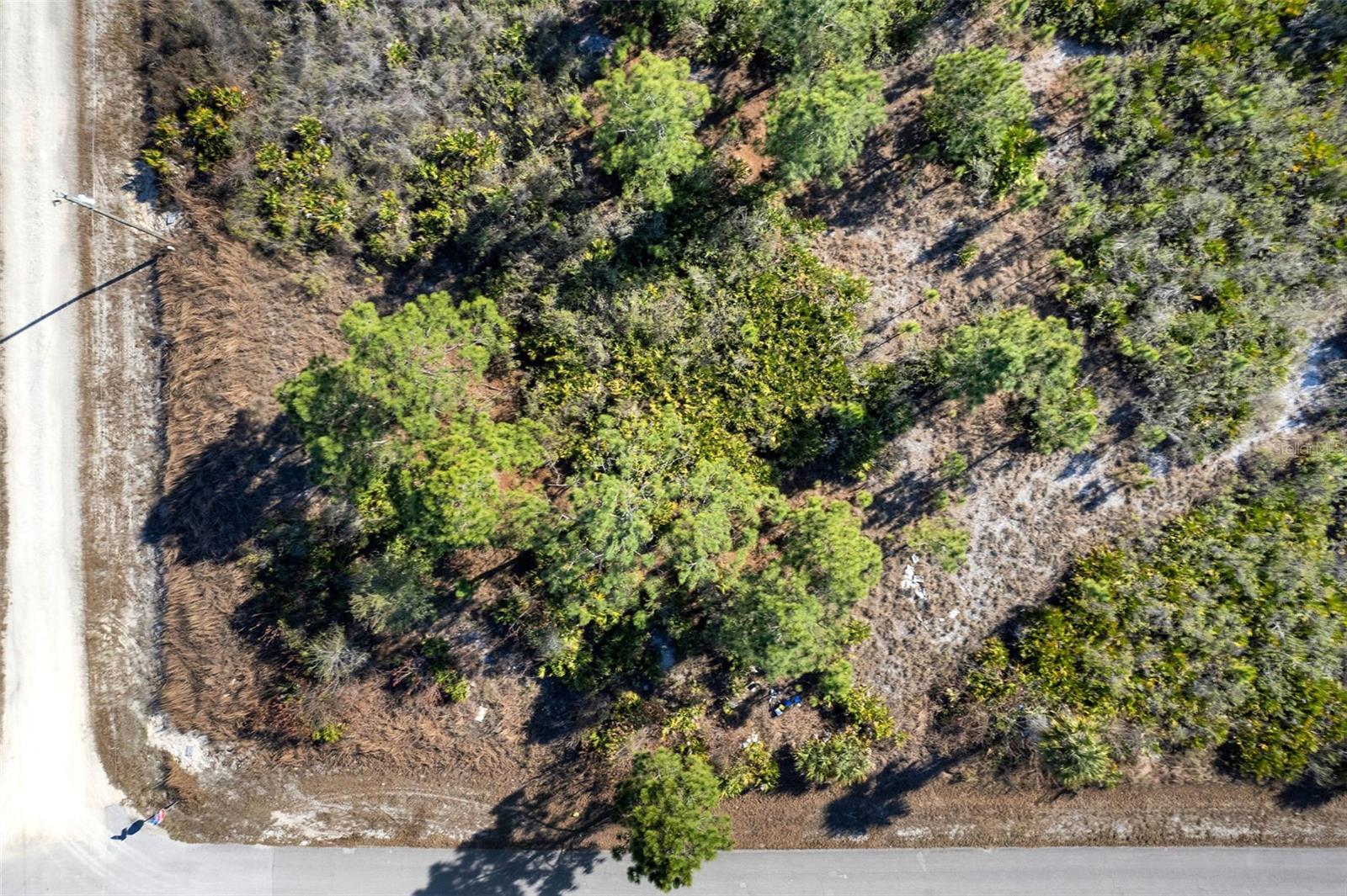 Corner Lot Property Photo 6