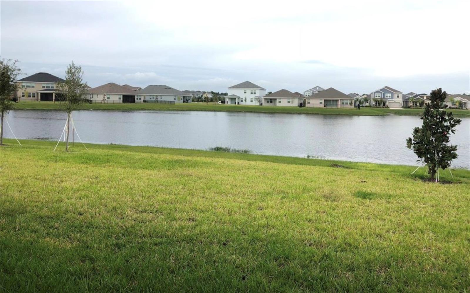 10229 Lovegrass Ln Property Photo 4