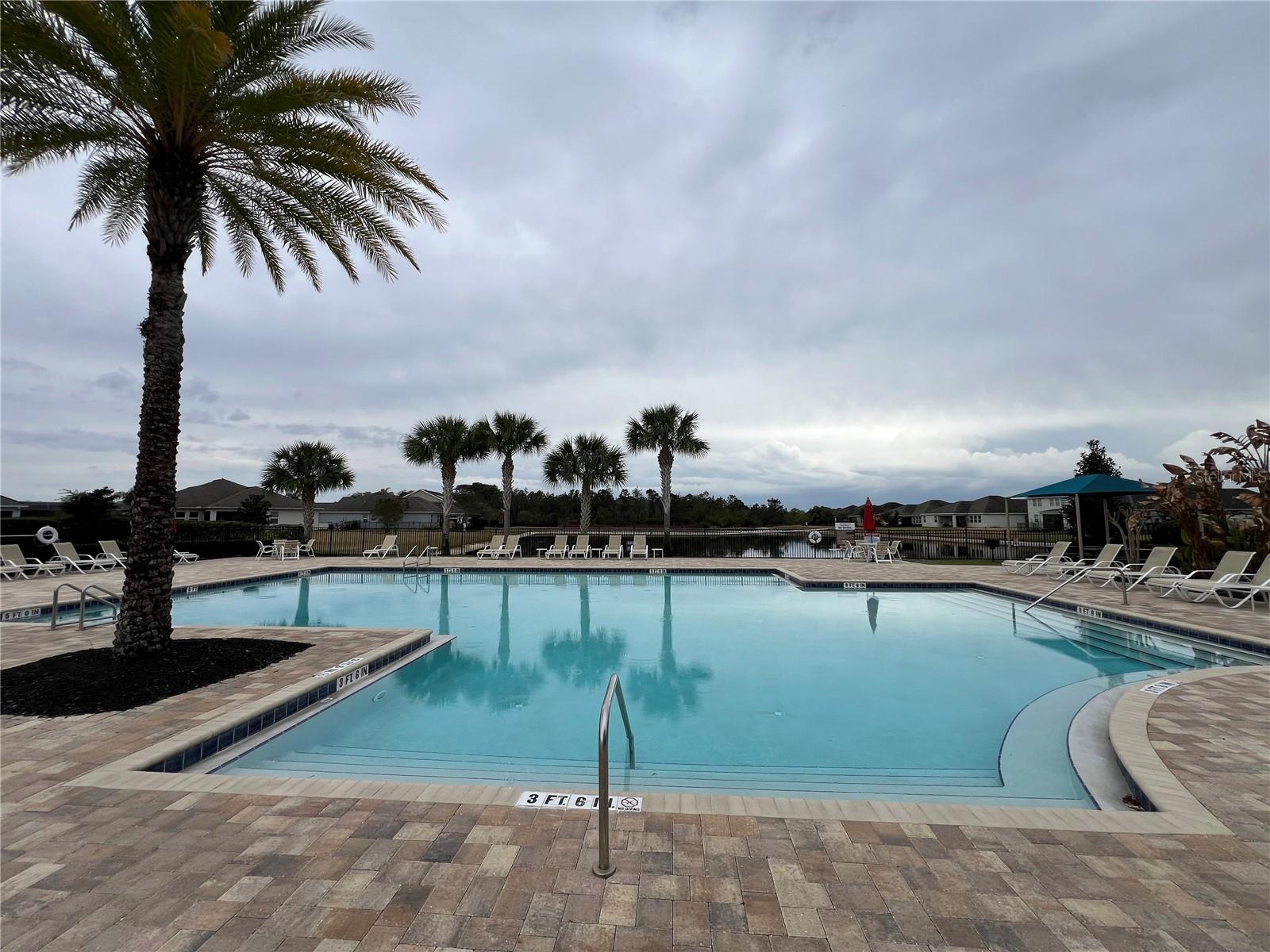 10229 Lovegrass Ln Property Photo 38
