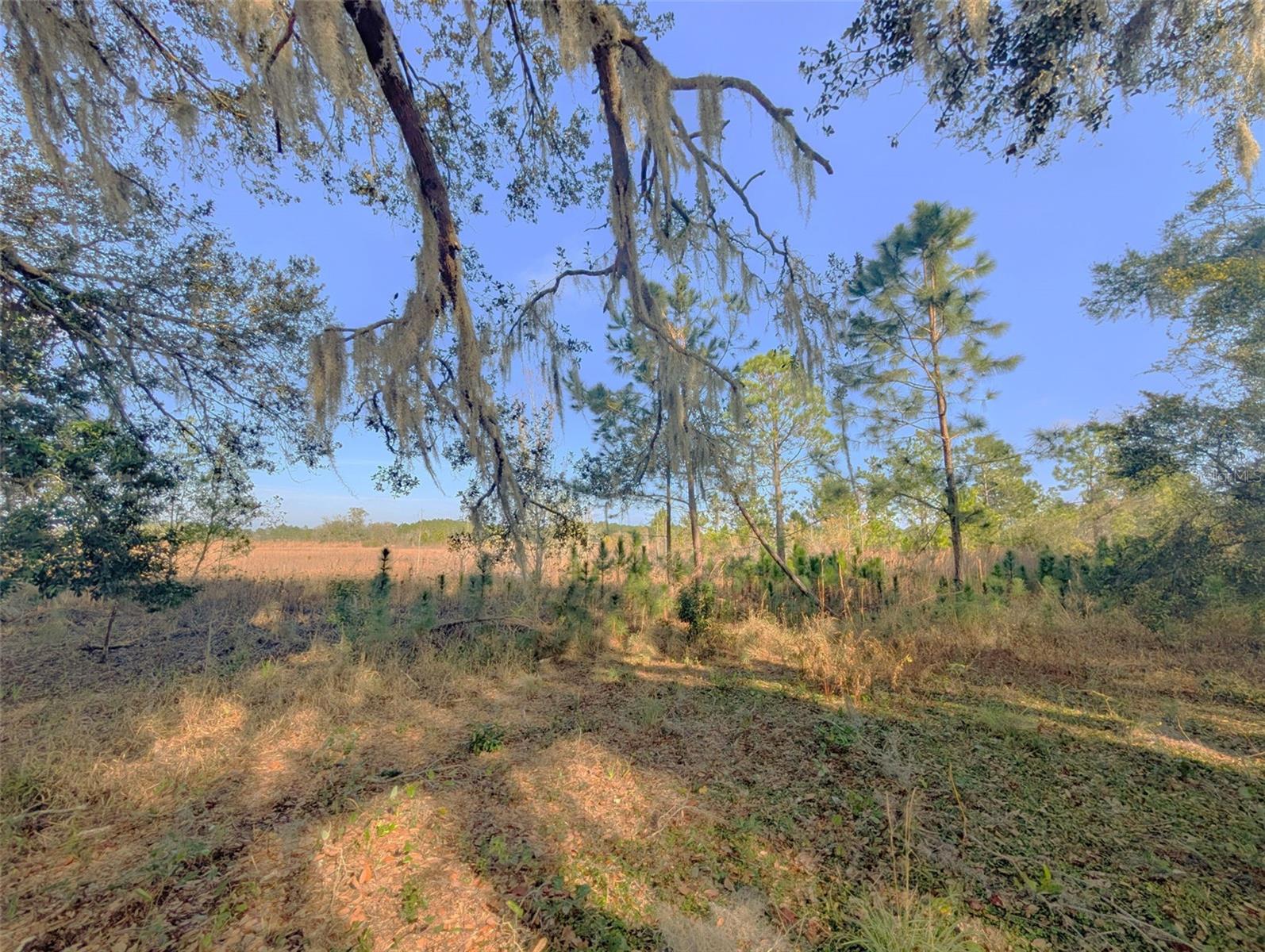 446 Long And Winding Rd Property Photo 28