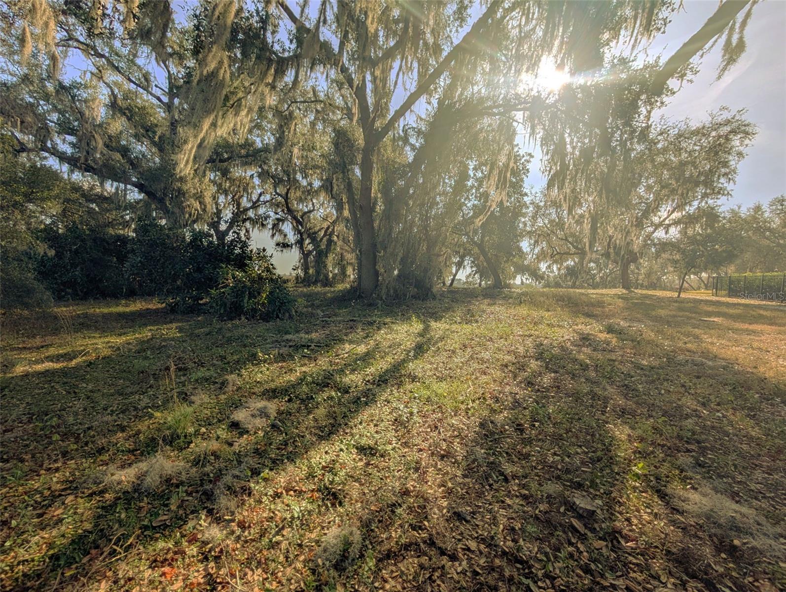 446 Long And Winding Rd Property Photo 29