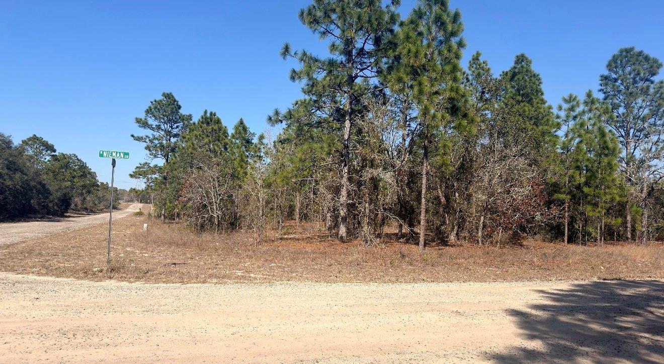 6501 N Winlock Ter Property Photo 1