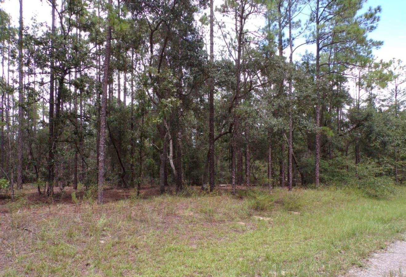 6501 N Winlock Ter Property Photo 2