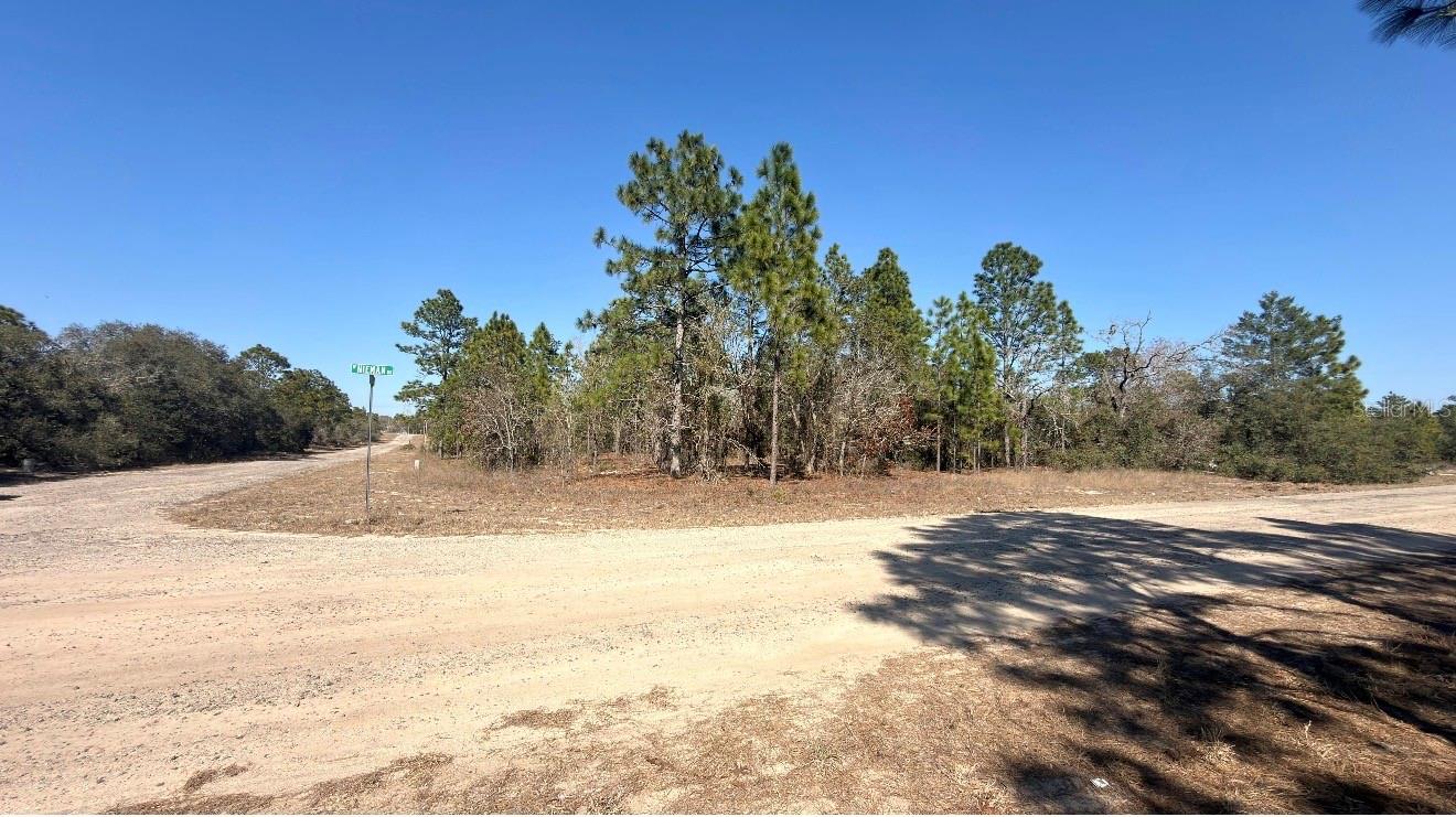 6501 N Winlock Ter Property Photo 4