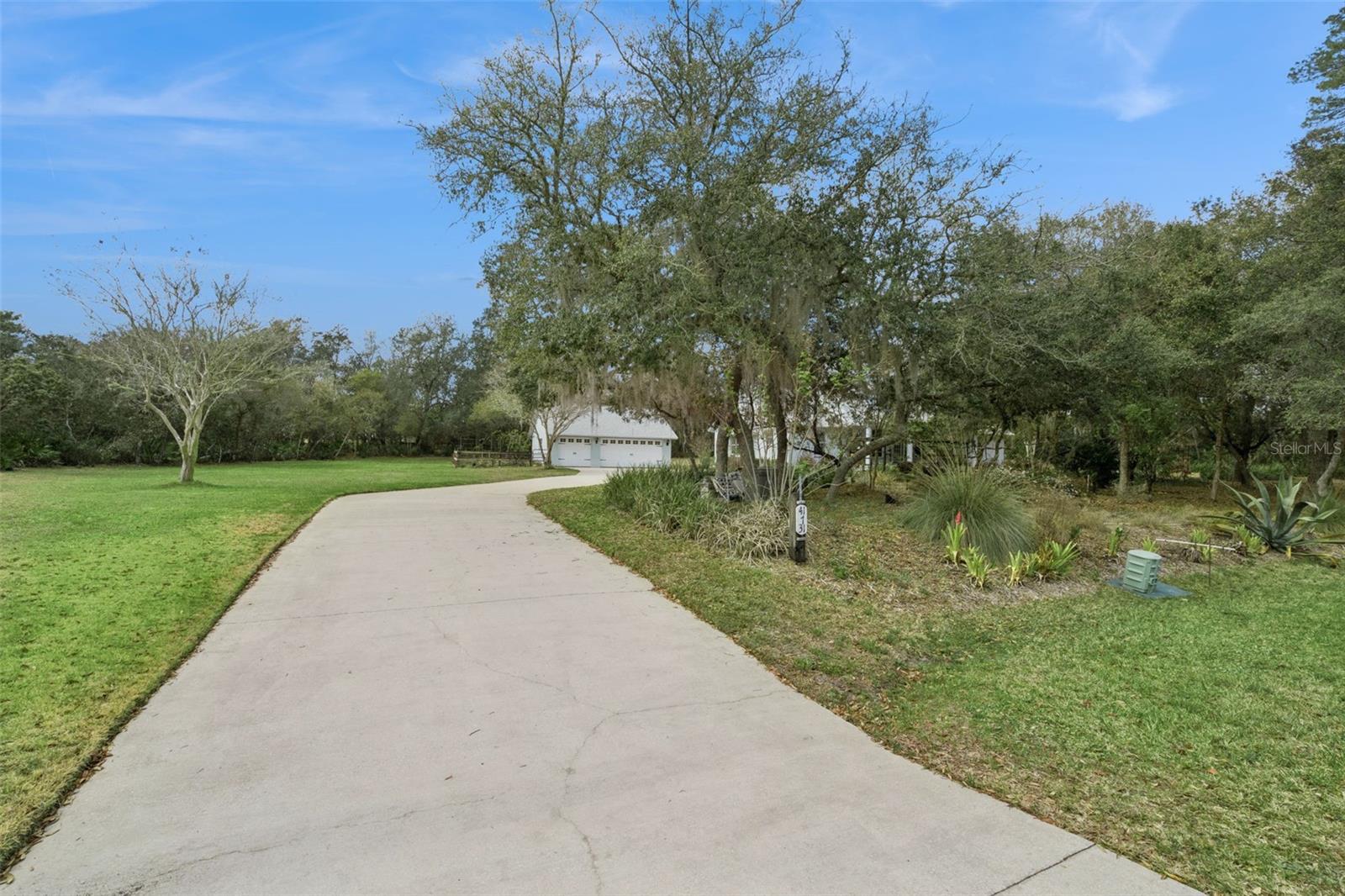41731 Dahlia St Property Photo 41