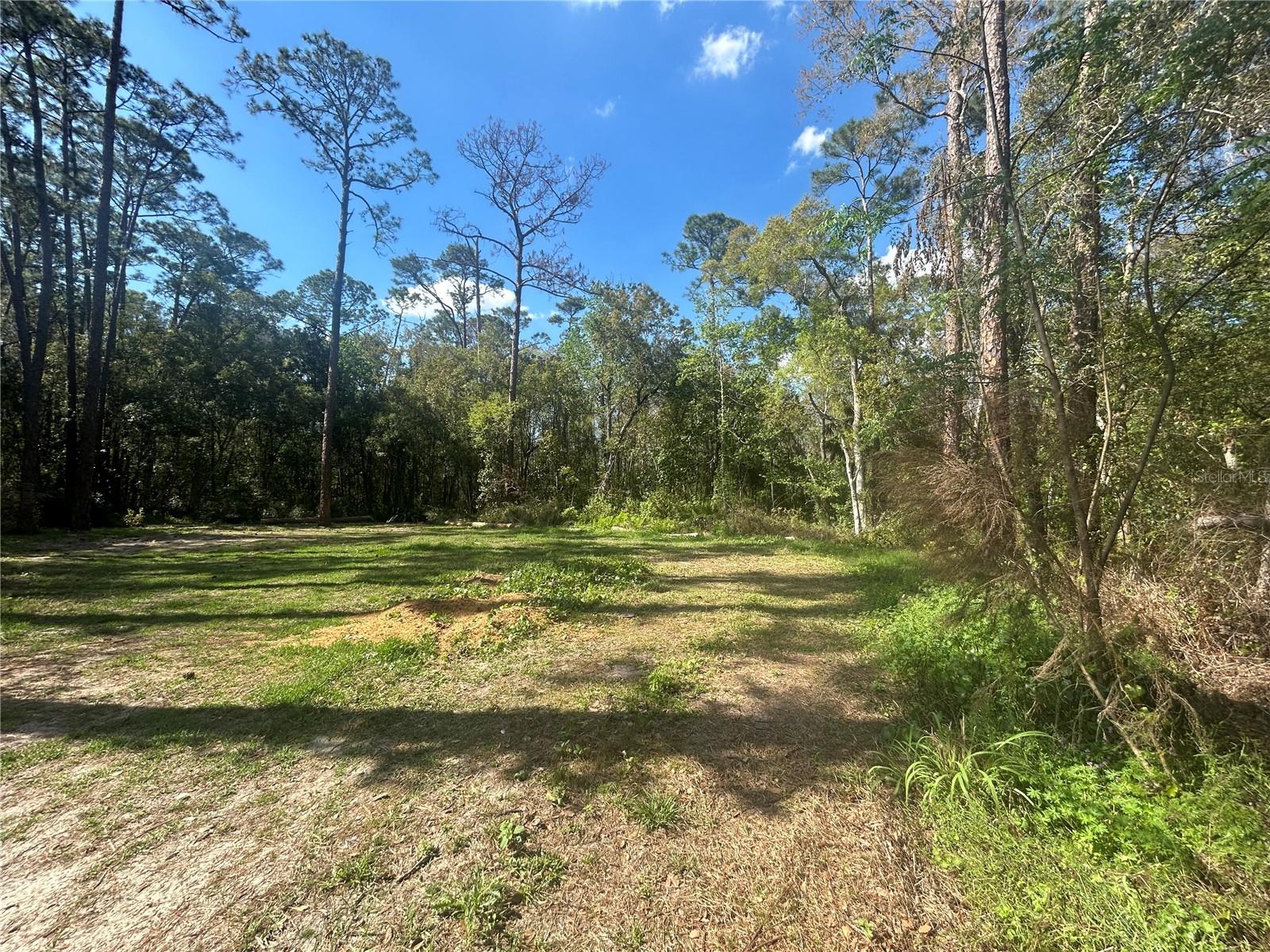 2648 S Park Ave Property Photo 4