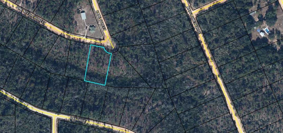 TBD PINE NEEDLE ST Property Photo 1