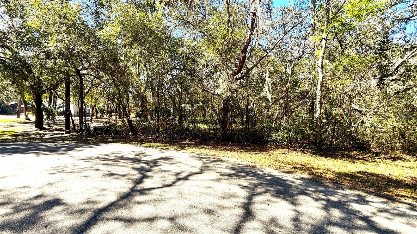 Lincoln Rd Property Photo 6