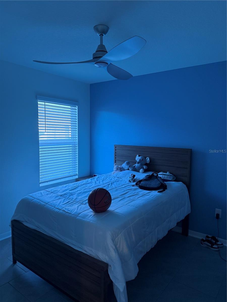 2541 Harmonia Hammock Rd Property Photo 6