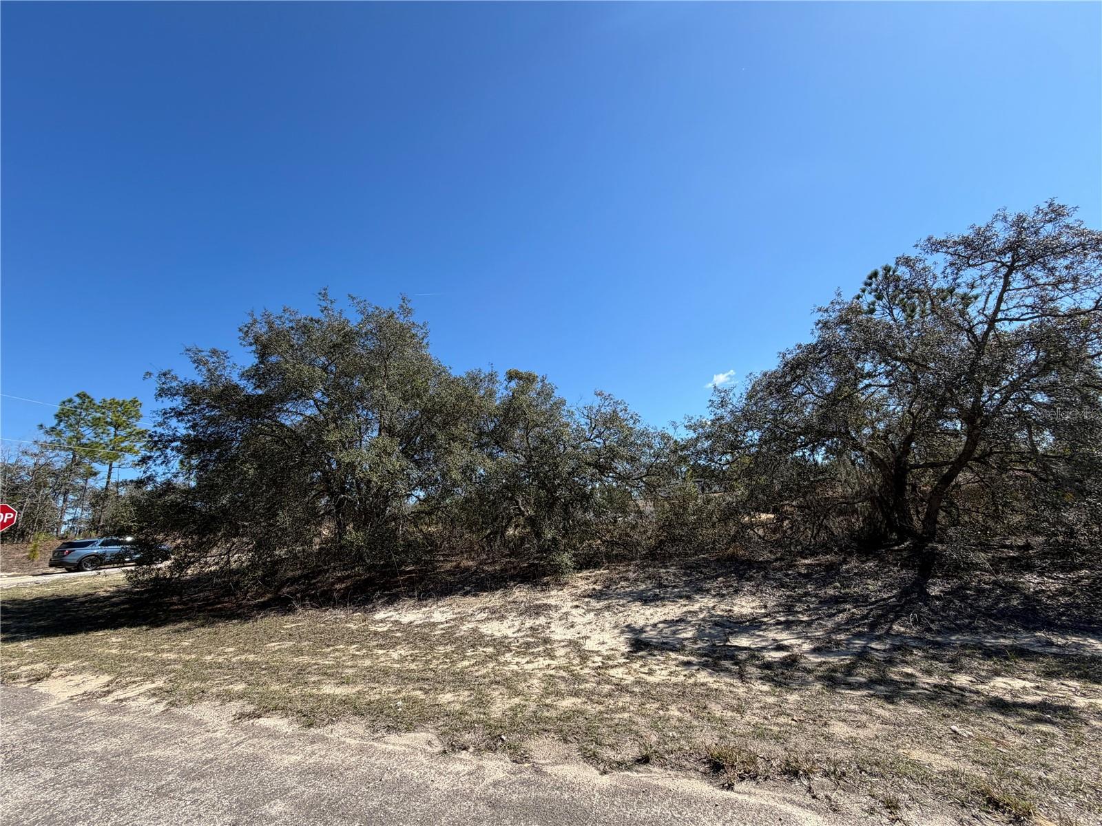 6725 N Killinger Ter Property Photo 1