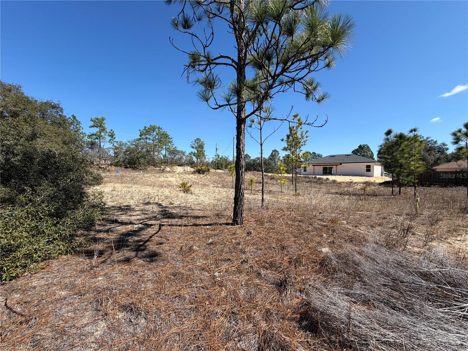 6725 N Killinger Ter Property Photo 2
